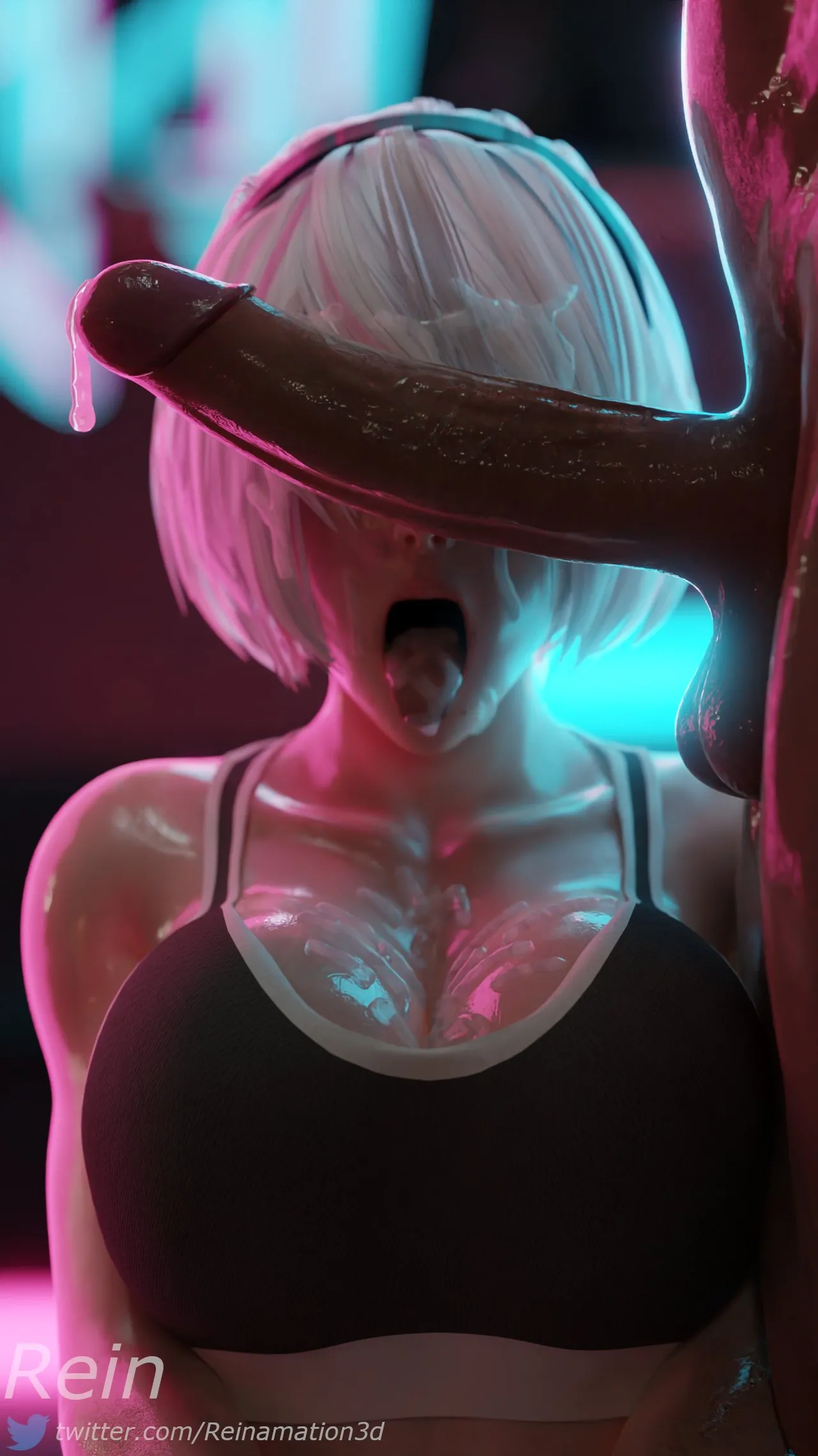 Reinamation3D 2024-2025 - Image 13