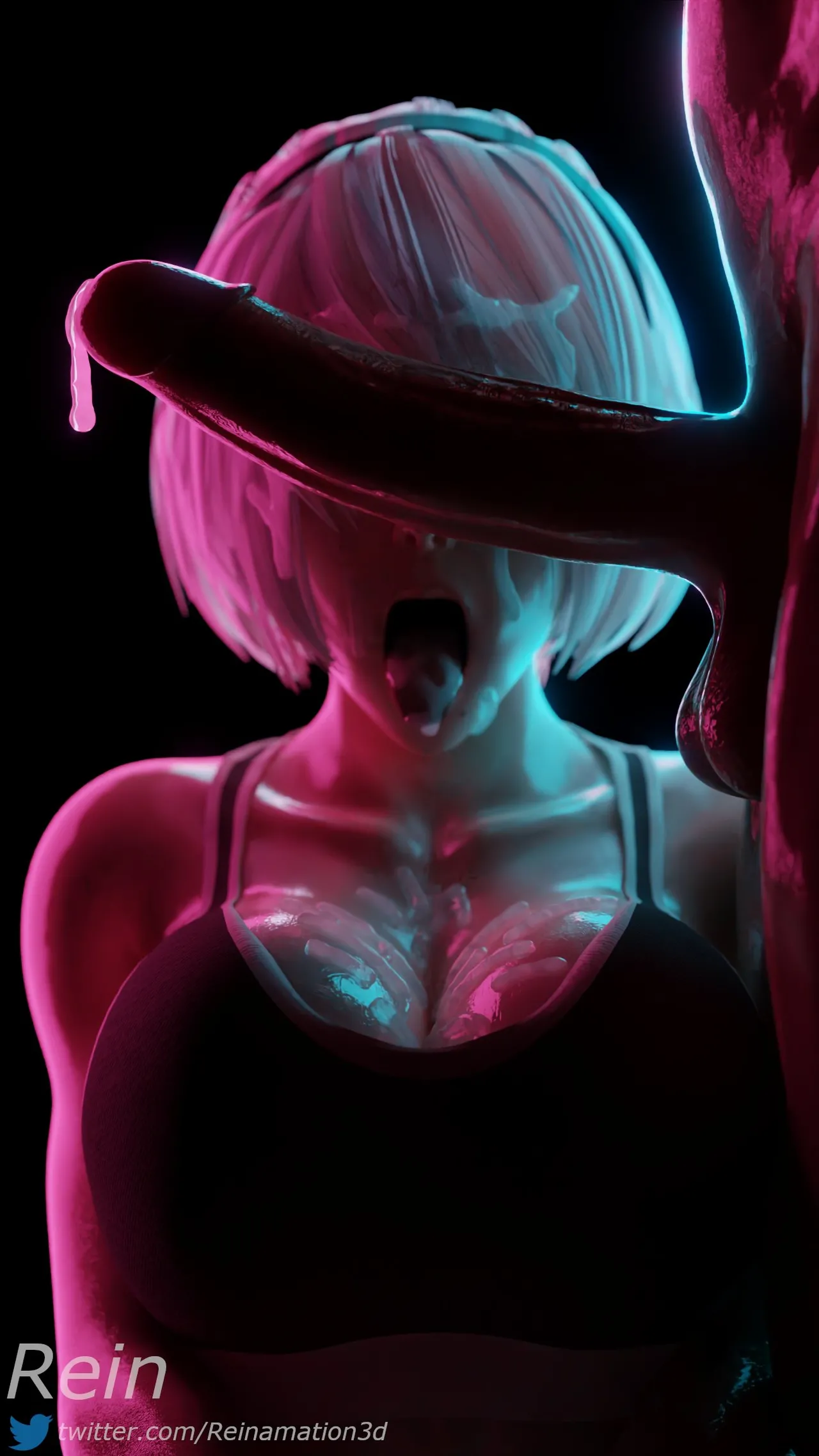 Reinamation3D 2024-2025 - Image 14