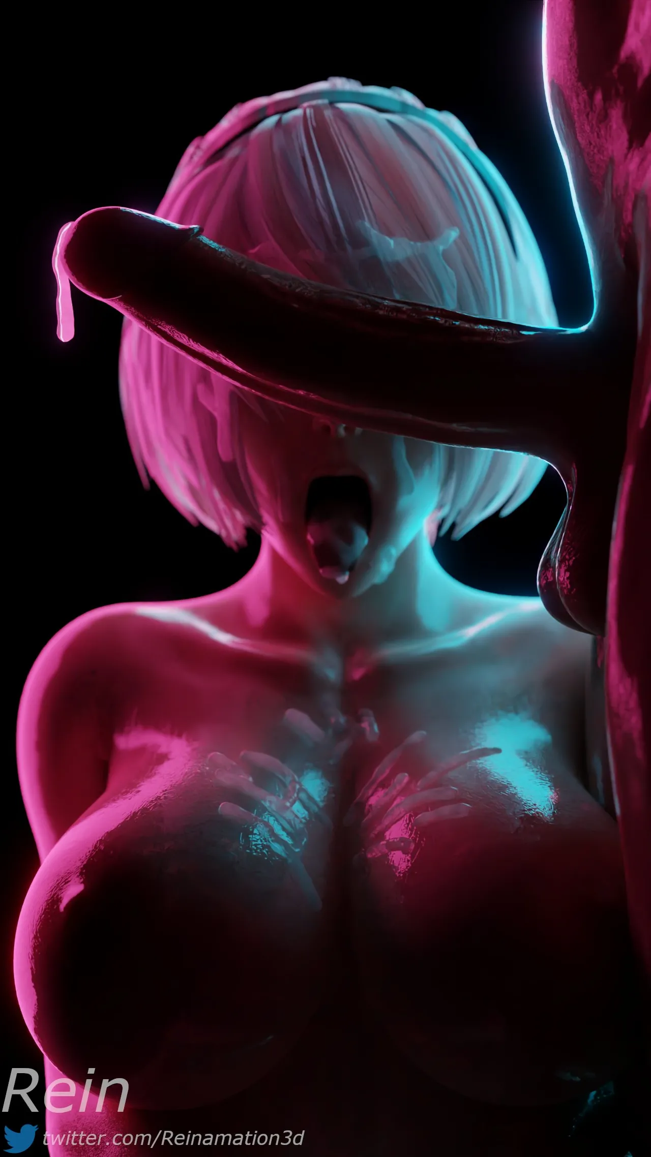 Reinamation3D 2024-2025 - Image 16