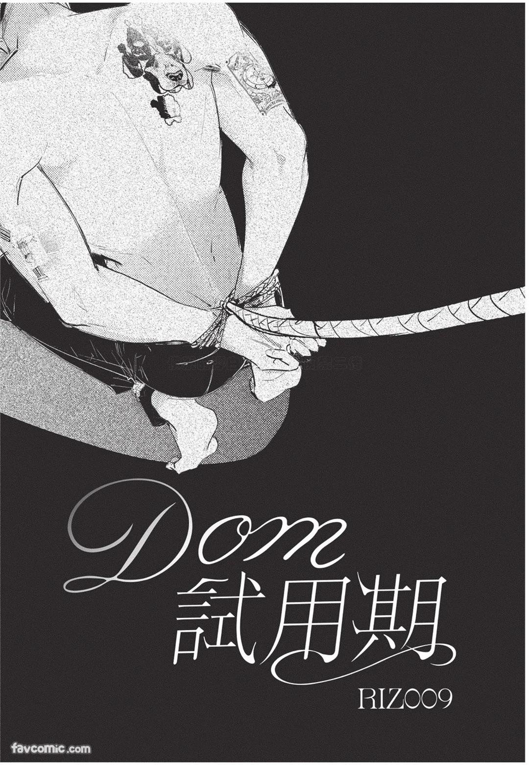 RIZ009 The Dom Trial PeriodDom试用期 - Image 4