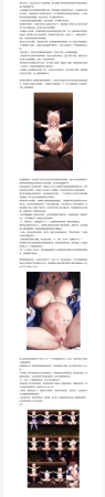 RyzaLin 珊瑚宫心海无惨 Chinese Decensored - Page 207