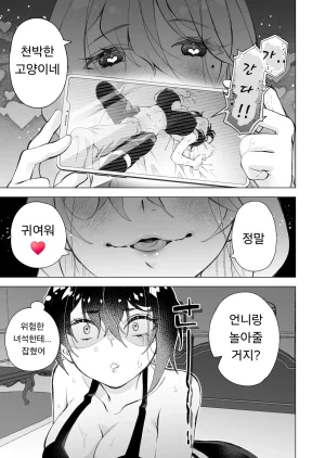 Sakura Kanmikan Sakura Manato Hiroi Neko 길고양이 Korean - Page 11