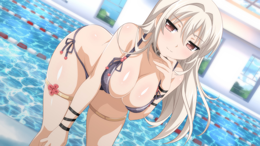 SAKURA SWIM CLUB - Image 19