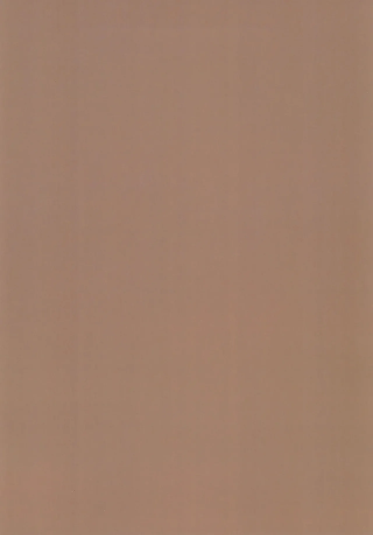 Sếch cinnamon - Image 20