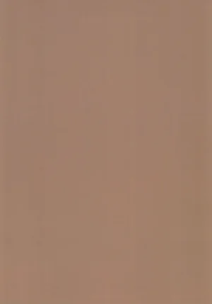 Sếch cinnamon - Page 20