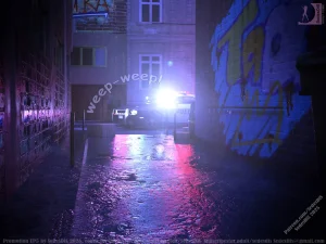 SedesDiS Promotion 5 English - Page 91