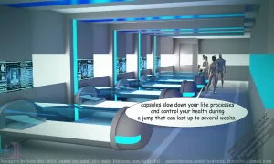 SedesDis Voyagers English - Page 17