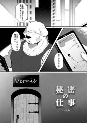 Seecle Secret Work Digital Uncensored