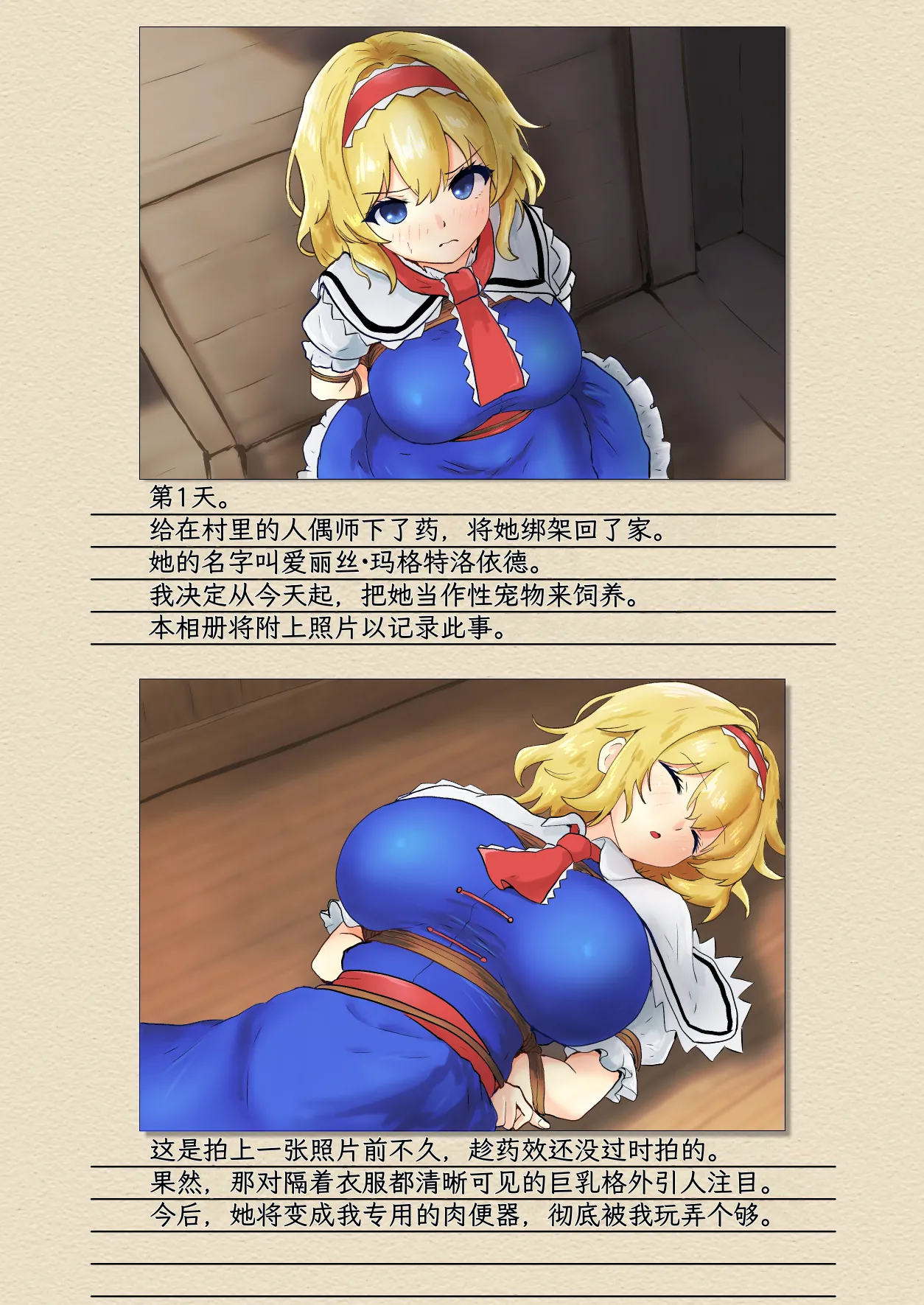 Seinaru Idokoro hinben Alice Margatroid Kankin Album 爱丽丝玛格特洛依德监禁专辑 Touhou Project Chinese MTL Digital Revised - Image 4
