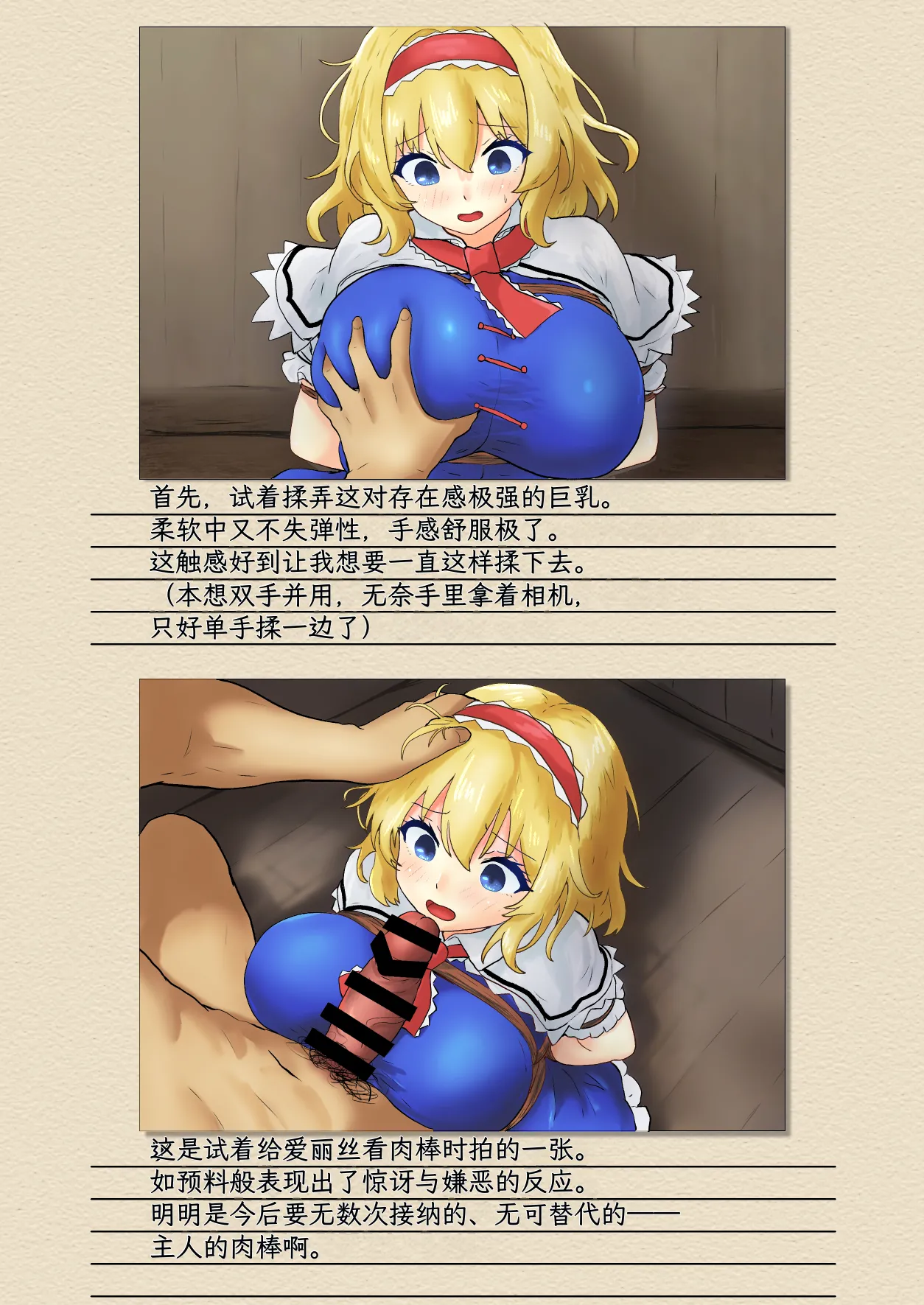 Seinaru Idokoro hinben Alice Margatroid Kankin Album 爱丽丝玛格特洛依德监禁专辑 Touhou Project Chinese MTL Digital Revised - Image 6