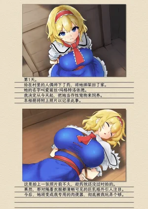 Seinaru Idokoro hinben Alice Margatroid Kankin Album 爱丽丝玛格特洛依德监禁专辑 Touhou Project Chinese MTL Digital Revised - Page 4