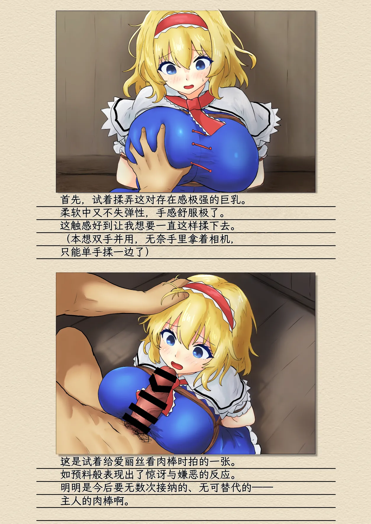 Seinaru Idokoro hinben Alice Margatroid Kankin Album 爱丽丝玛格特洛依德监禁专辑 Touhou Project Chinese MTL Digital - Image 6