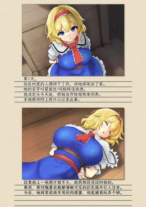 Seinaru Idokoro hinben Alice Margatroid Kankin Album 爱丽丝玛格特洛依德监禁专辑 Touhou Project Chinese MTL Digital - Page 4