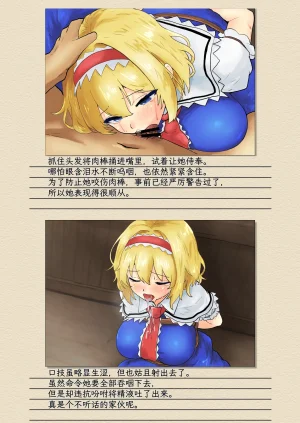 Seinaru Idokoro hinben Alice Margatroid Kankin Album 爱丽丝玛格特洛依德监禁专辑 Touhou Project Chinese MTL Digital - Page 7
