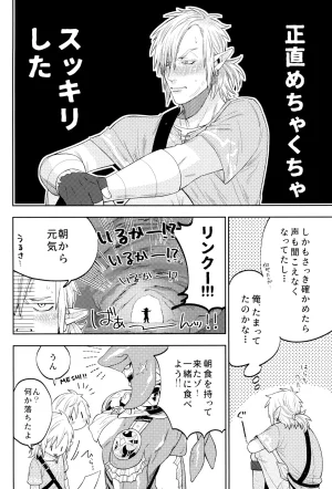 Seitou bouei de HR Ureshino Saneatsu WONDER Legend of Zelda - Page 20