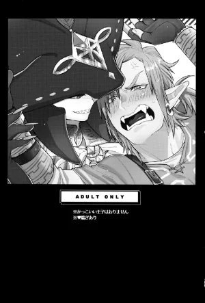 Seitou bouei de HR Ureshino Saneatsu WONDER Legend of Zelda - Page 3