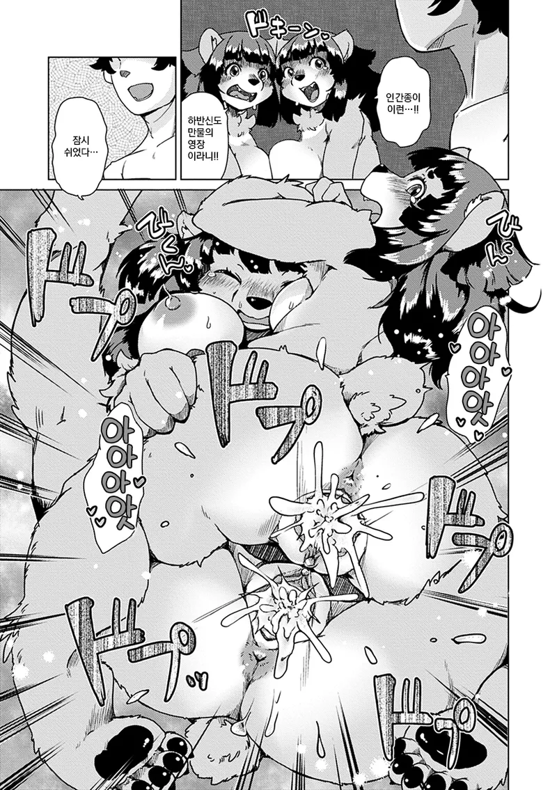 Setouchi Kurage ZokuJuujin Apart Tokoharusou e Youkoso 속수인 아파트 토코하루장에 어서오세요 Ch.14 Korean Decensored Digital - Image 82