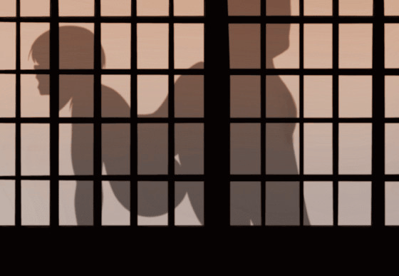 Sex in SilhouetteShadow - Image 55