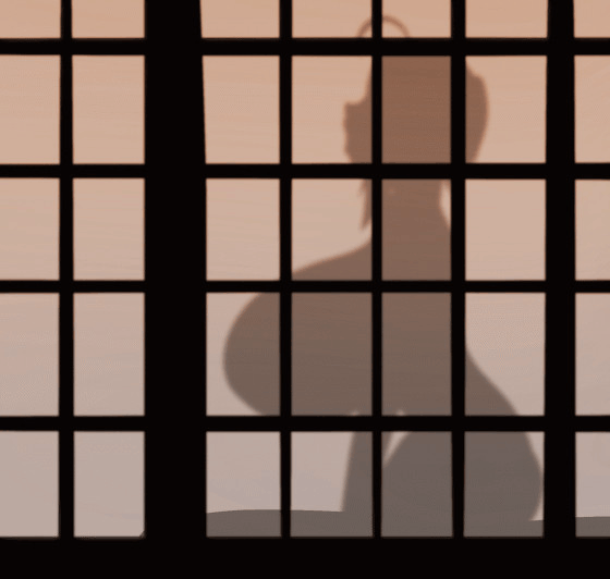 Sex in SilhouetteShadow - Image 56