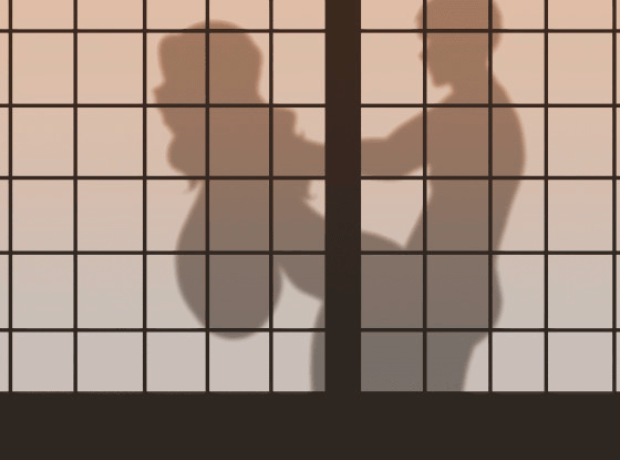 Sex in SilhouetteShadow - Image 57