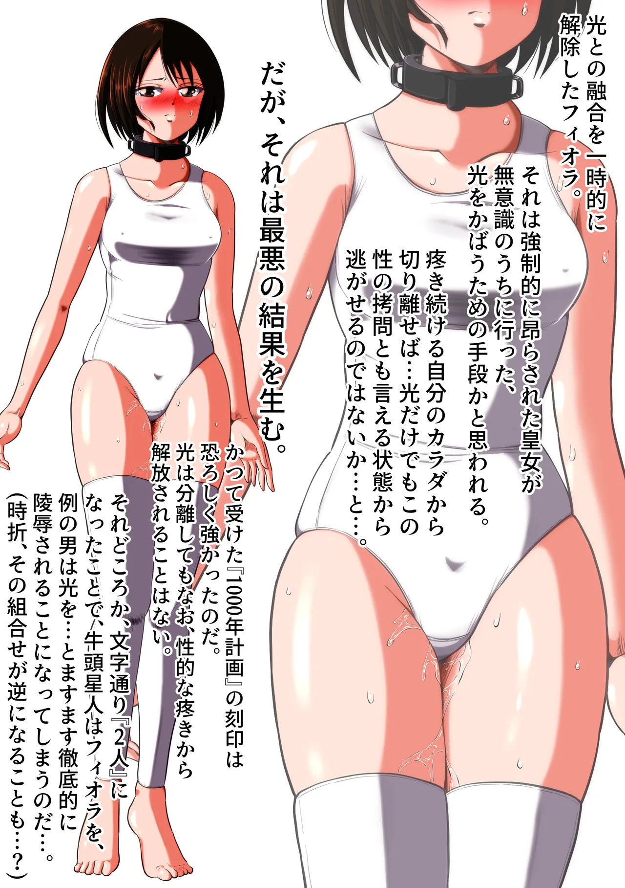 shade no Urahime shade Gyutouseijin no kyouhu Fiora Crisis Gaiden 3 - Image 41