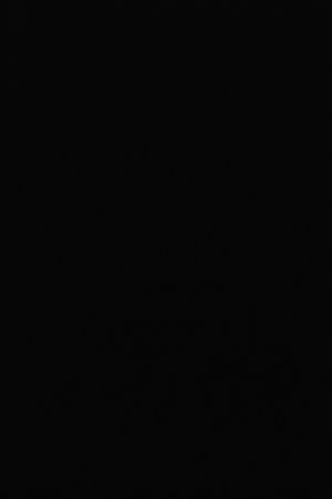 ShadowJB The Flowers have Withered... - Page 35