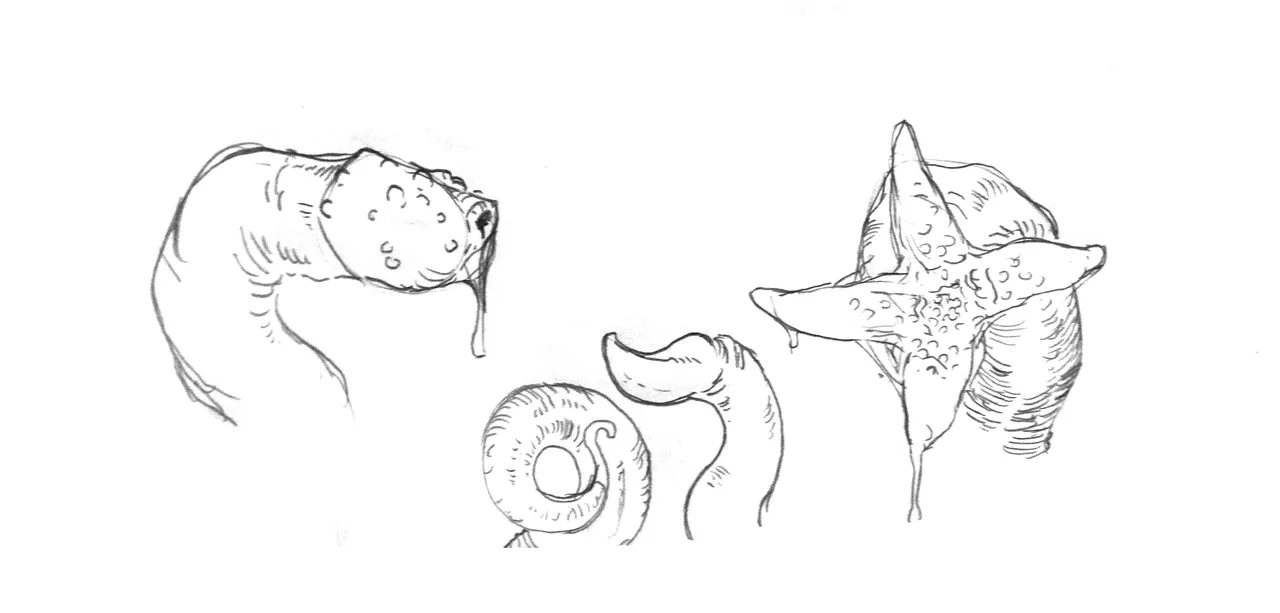 ShadowMist Monster Demon Girls - Image 72