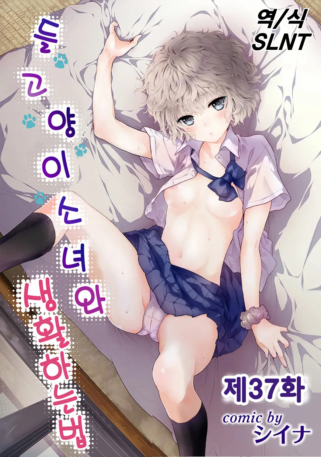 Shiina Noraneko Shoujo to no Kurashikata 들고양이 소녀와 생활하는 법 2245화 Korean Ongoing - Image 365