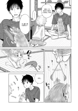 Shiina Noraneko Shoujo to no Kurashikata Ch. 22 48 들고양이 소녀와 생활하는 법 2248화 Korean - Page 176