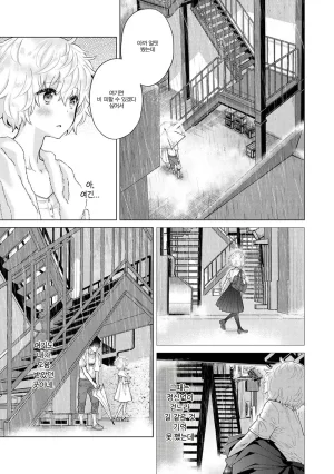 Shiina Noraneko Shoujo to no Kurashikata Ch. 22 48 들고양이 소녀와 생활하는 법 2248화 Korean - Page 203