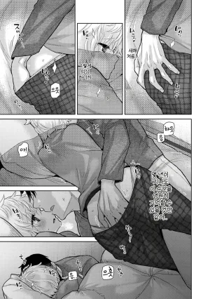 Shiina Noraneko Shoujo to no Kurashikata Ch. 22 48 들고양이 소녀와 생활하는 법 2248화 Korean - Page 565