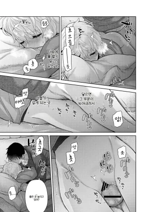 Shiina Noraneko Shoujo to no Kurashikata Ch. 22 48 들고양이 소녀와 생활하는 법 2248화 Korean - Page 571