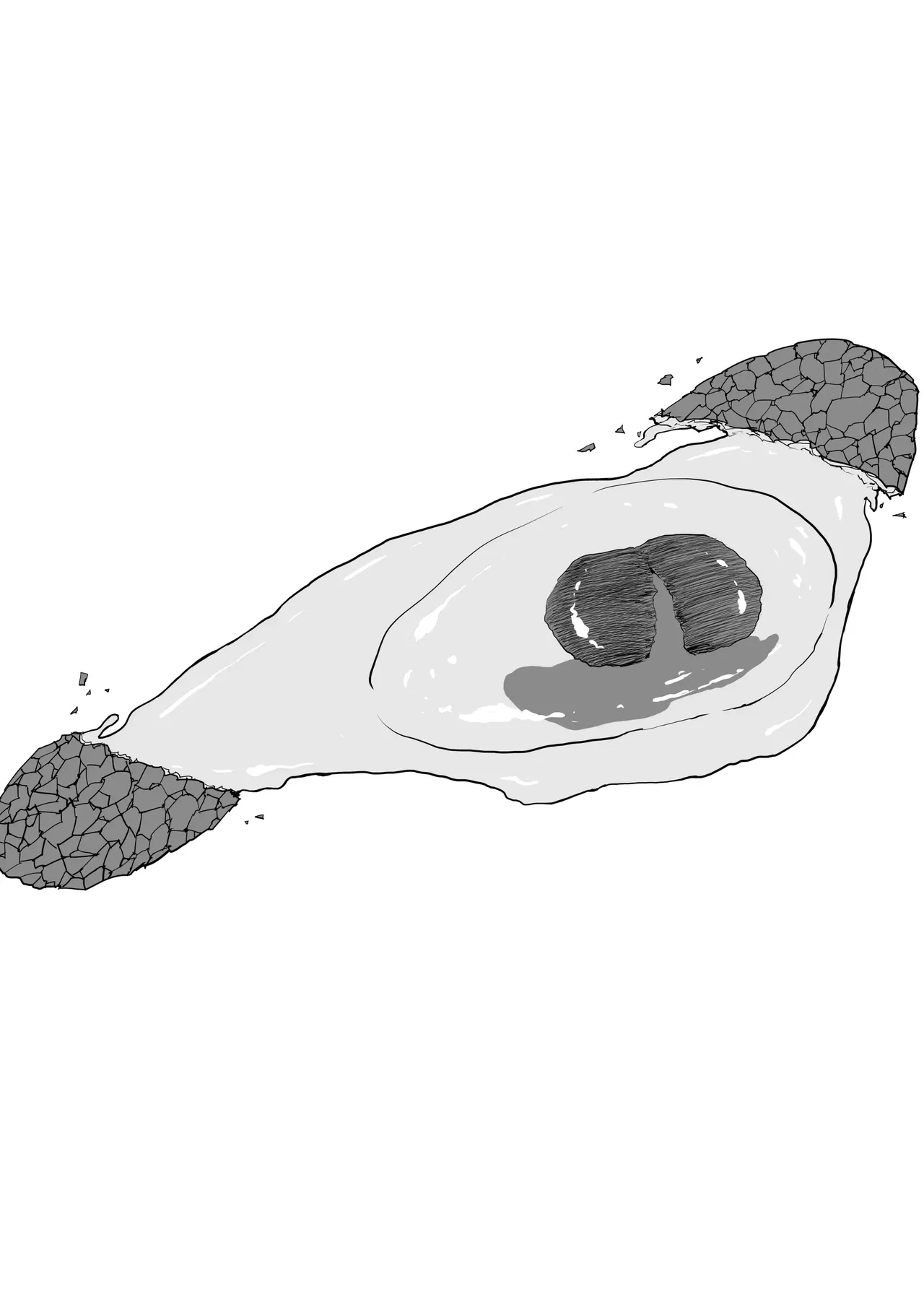 Shioji Dekkai Shiri no Hitozuma to Asa made Yarimakutta HanashiUna Historia Sobre Tener Sexo con una Esposa Culona Hasta Amanecer Spanish FallenSub - Image 4