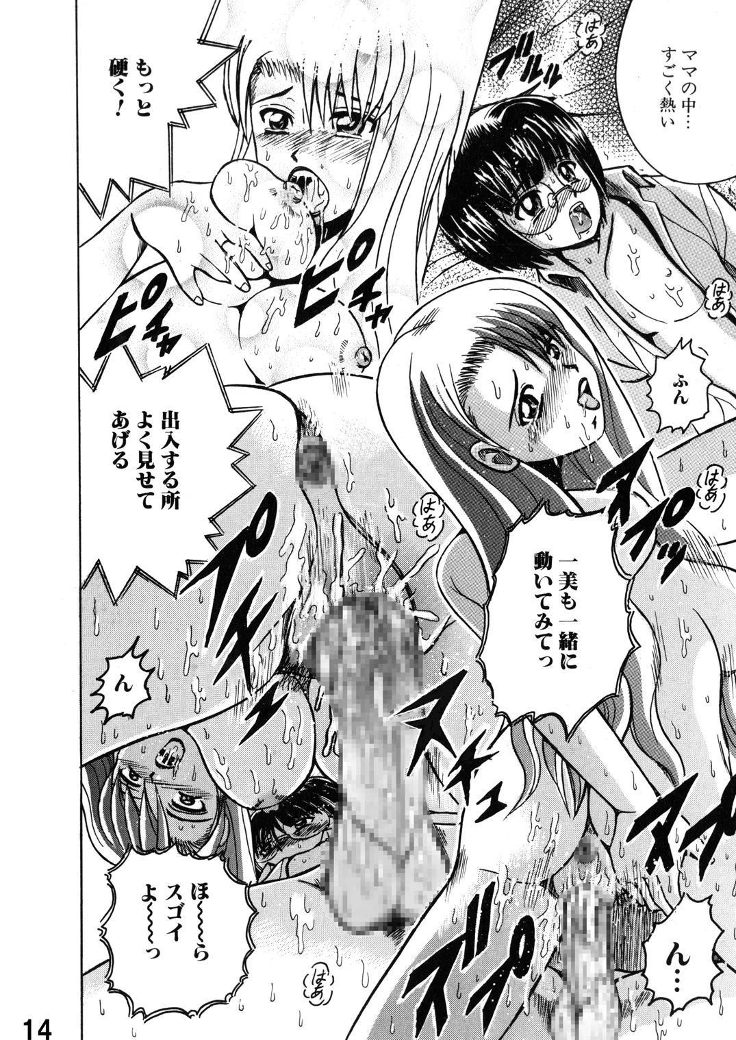 Shioya Shioya Maico SHIOEX 15 Digital - Image 14