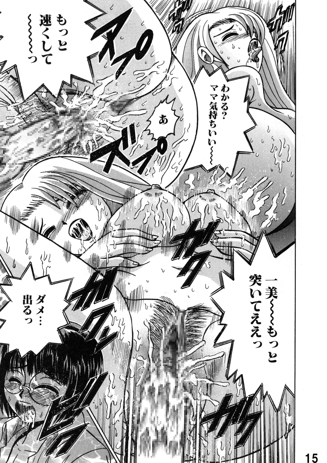 Shioya Shioya Maico SHIOEX 15 Digital - Image 15