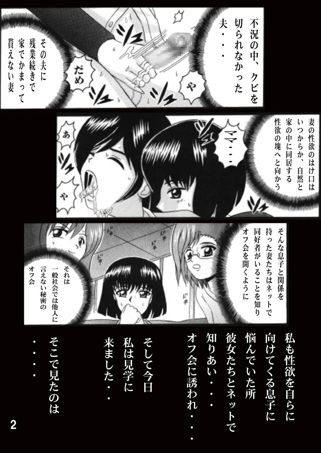 Shioya Shioya Maico SHIOEX 15 Digital - Image 2