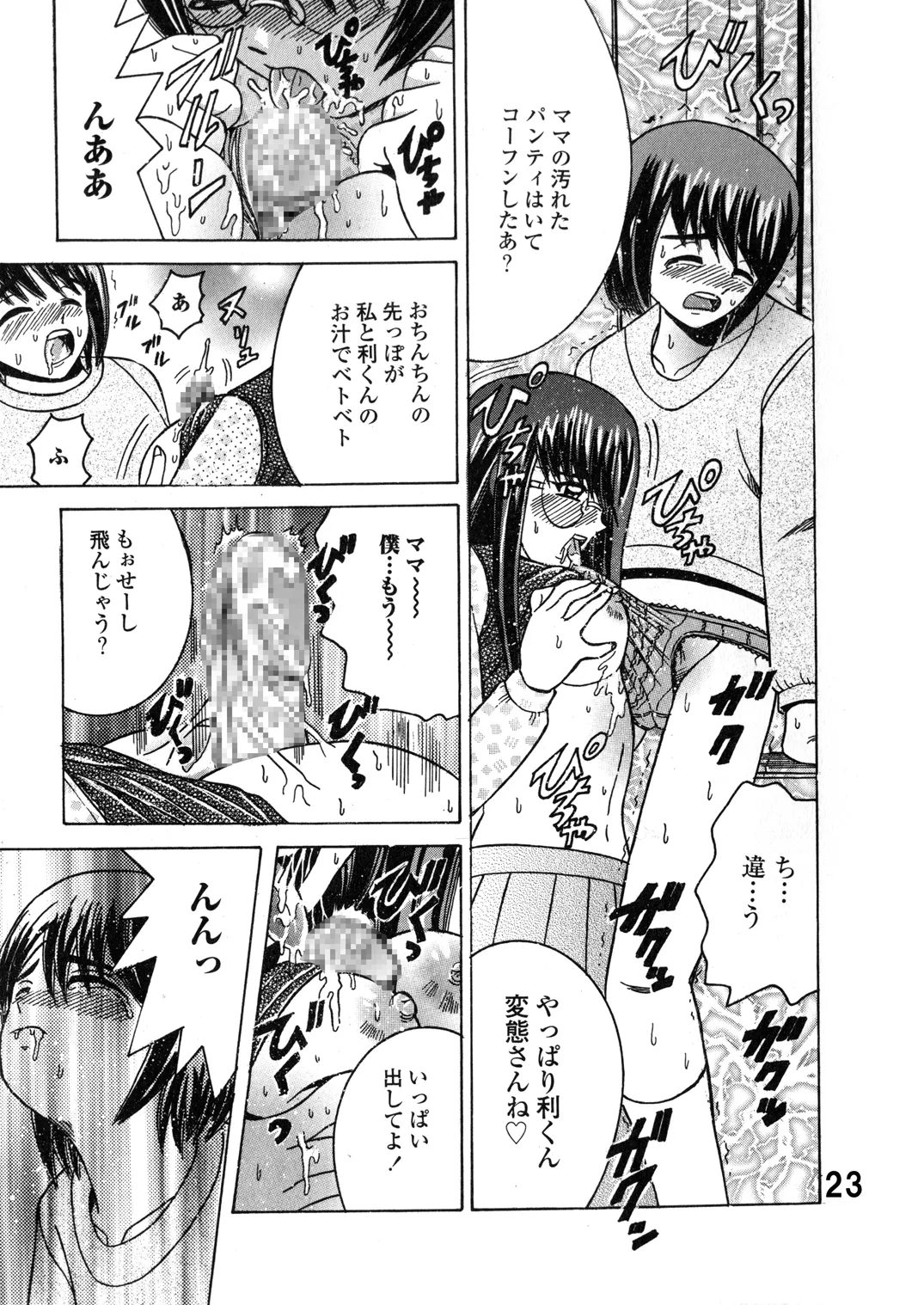 Shioya Shioya Maico SHIOEX 15 Digital - Image 23