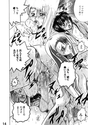 Shioya Shioya Maico SHIOEX 15 Digital - Page 14