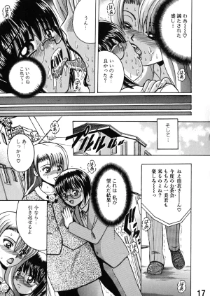 Shioya Shioya Maico SHIOEX 15 Digital - Page 17