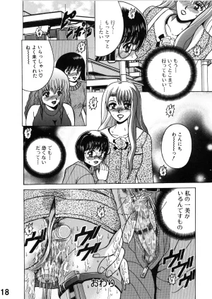 Shioya Shioya Maico SHIOEX 15 Digital - Page 18