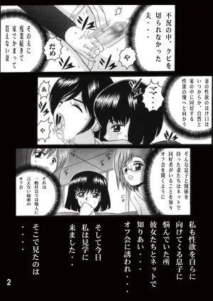 Shioya Shioya Maico SHIOEX 15 Digital - Page 2