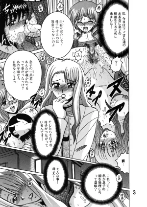 Shioya Shioya Maico SHIOEX 15 Digital - Page 3