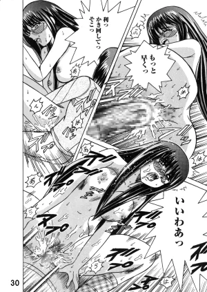 Shioya Shioya Maico SHIOEX 15 Digital - Page 30