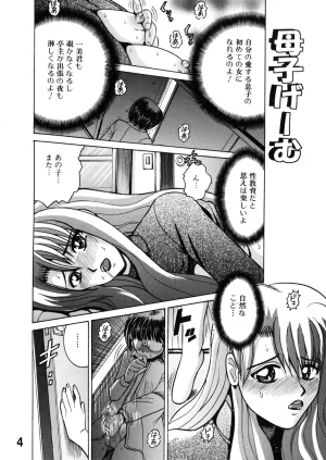 Shioya Shioya Maico SHIOEX 15 Digital - Page 4