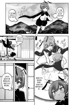 Shoujo Rakugakichuu Himajin no Izu skeb na Gensou Shoujo Shuu 9 음란한 환상 소녀집 9 Touhou Project Korean Digital - Page 17