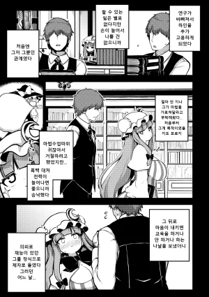 Shoujo Rakugakichuu Himajin no Izu skeb na Gensou Shoujo Shuu 9 음란한 환상 소녀집 9 Touhou Project Korean Digital - Page 35