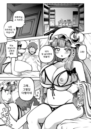 Shoujo Rakugakichuu Himajin no Izu skeb na Gensou Shoujo Shuu 9 음란한 환상 소녀집 9 Touhou Project Korean Digital - Page 45