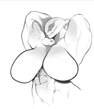 SIREVISCONDE - Page 11