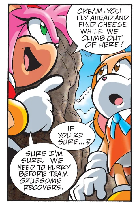 Sonic the Hedgehog IDW Archie Amy Rose Uncensored Panels - Image 15