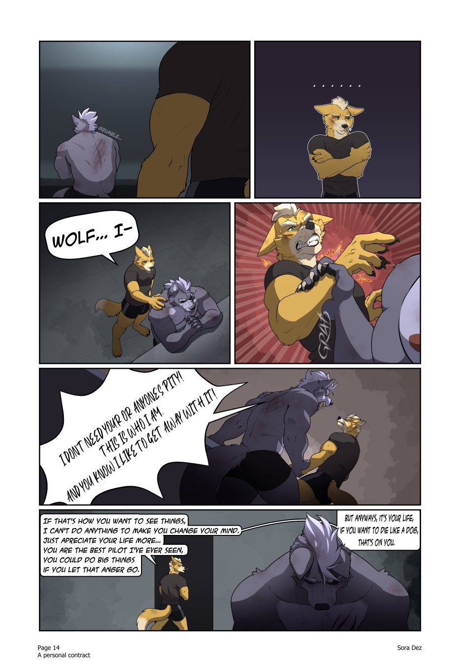 Sora Dez WolFox A Personal Contract Ongoing - Image 17